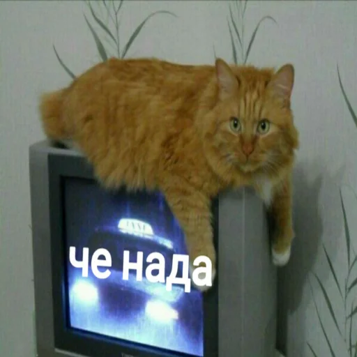 Эмодзи Мэмчики
