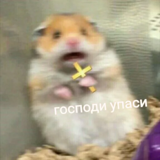 Эмодзи Мэмчики