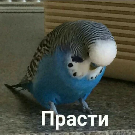 Эмодзи Мэмчики