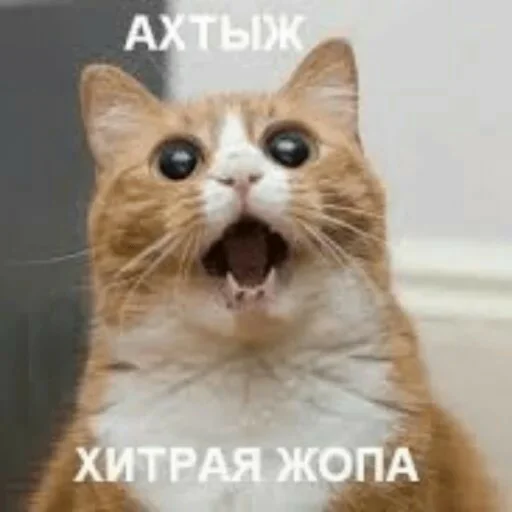 Эмодзи Мэмчики