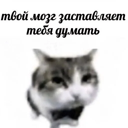 Эмодзи Meme