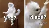 Эмодзи Мемы
