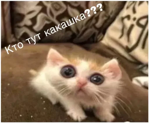 Эмодзи Миу боты