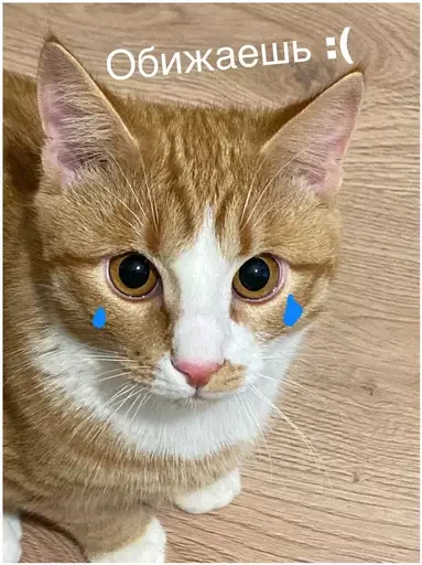 Эмодзи Миу боты