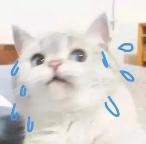 ?