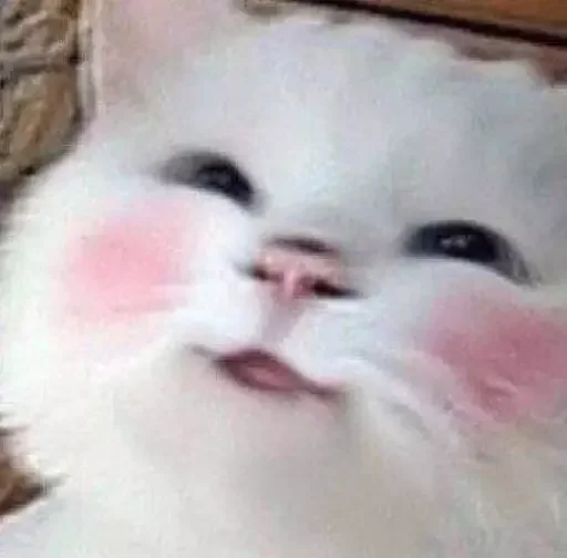 Эмодзи MeowBots 2