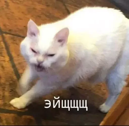 Эмодзи MeowBots 2