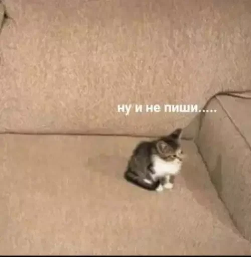 Эмодзи MeowBots 2