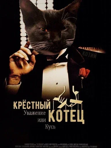 🃏