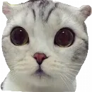 Эмодзи Мяу Please