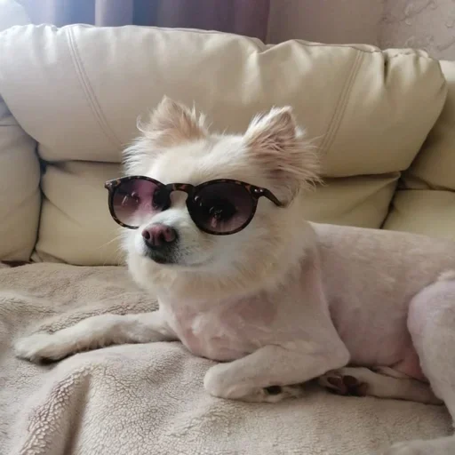 Эмодзи пёс мичик