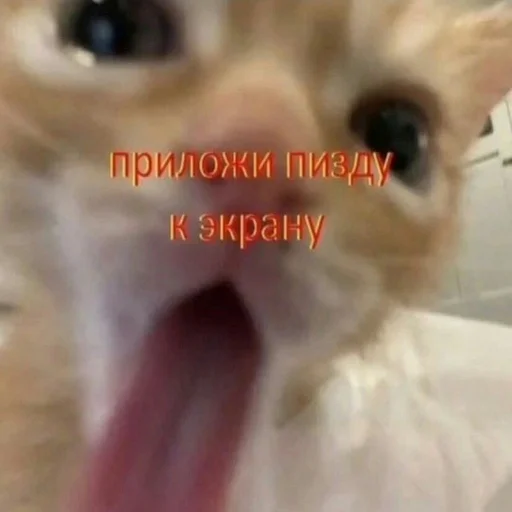?