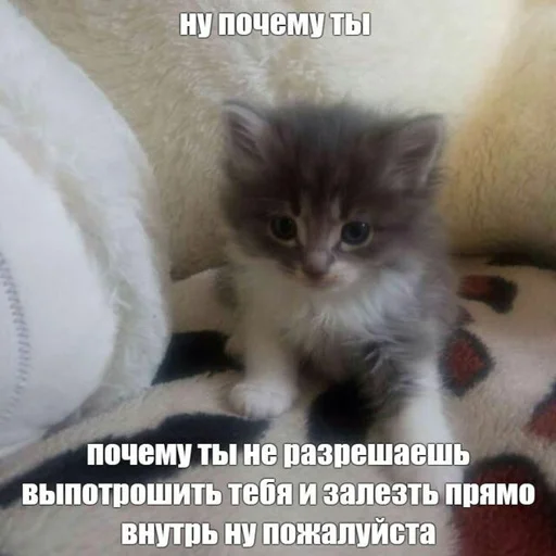 Эмодзи няшные стикеры и не только