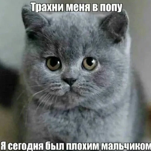 Эмодзи няшные стикеры и не только