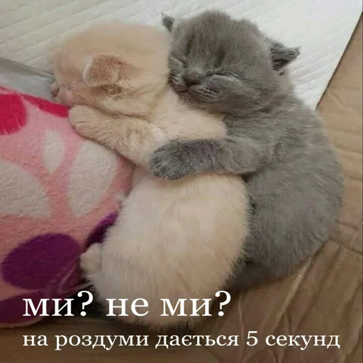 Эмодзи няшные стикеры и не только