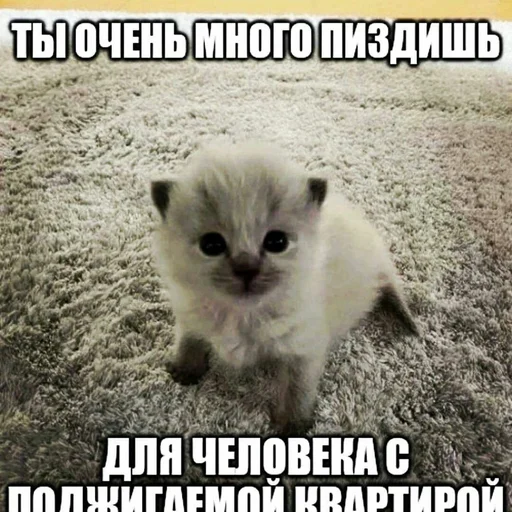 Эмодзи няшные стикеры и не только