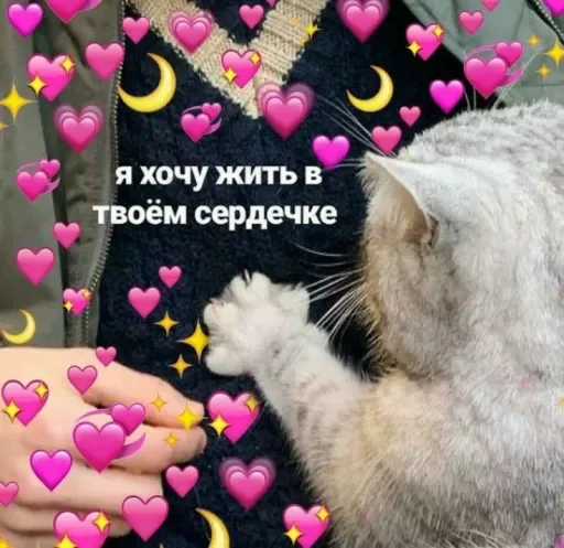 Эмодзи Милые Котики