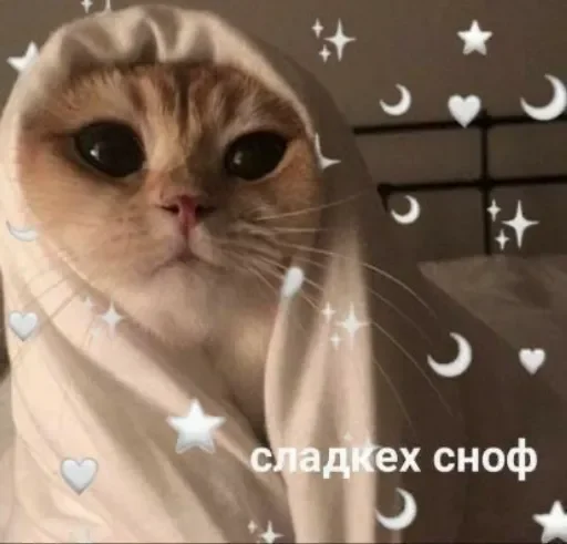 Эмодзи Милые Котики