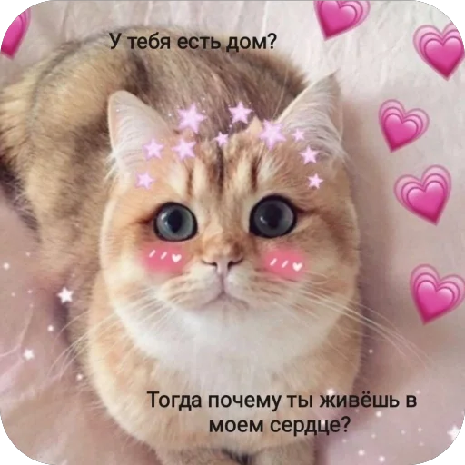 ?