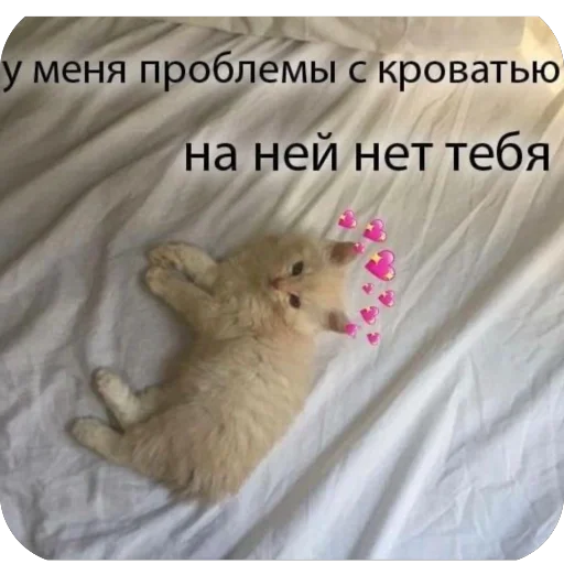 Эмодзи Милые котики