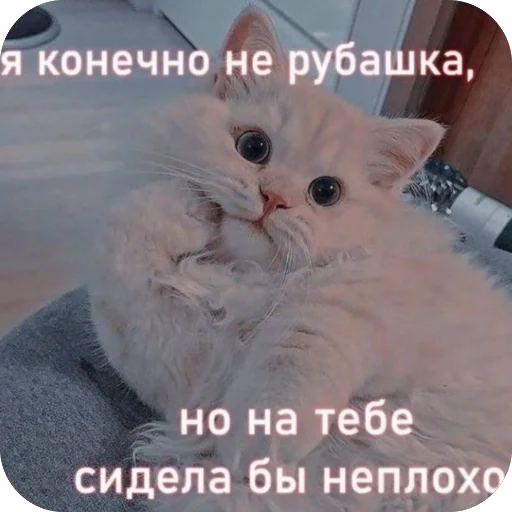 Эмодзи Милые котики