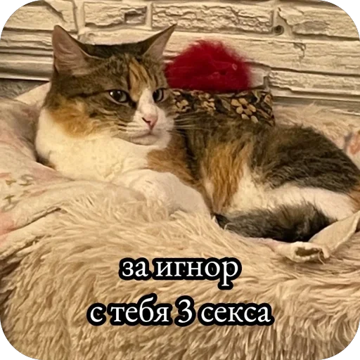 Эмодзи Милые котики