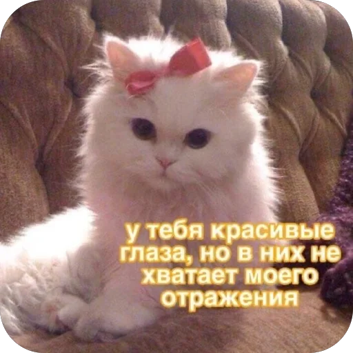 Эмодзи Милые котики