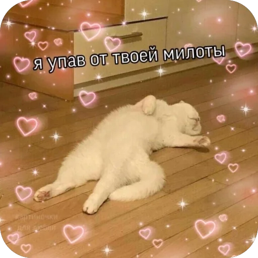Эмодзи Милые котики