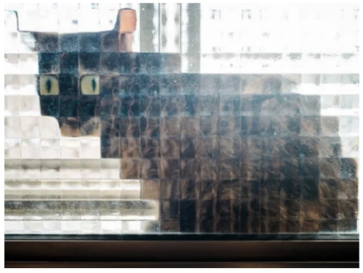 Эмодзи Minecraft Cats