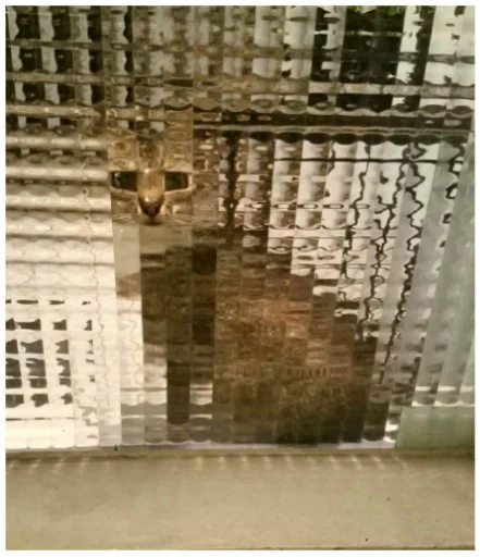 Эмодзи Minecraft Cats