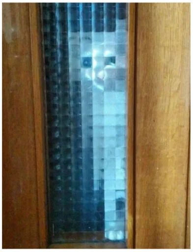 Эмодзи Minecraft Cats