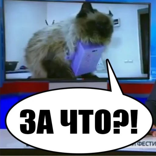 Эмодзи ура Нифёдов!!!)))