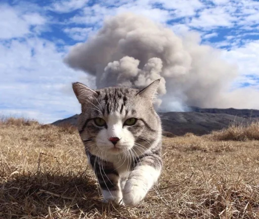 Эмодзи Mood MiX