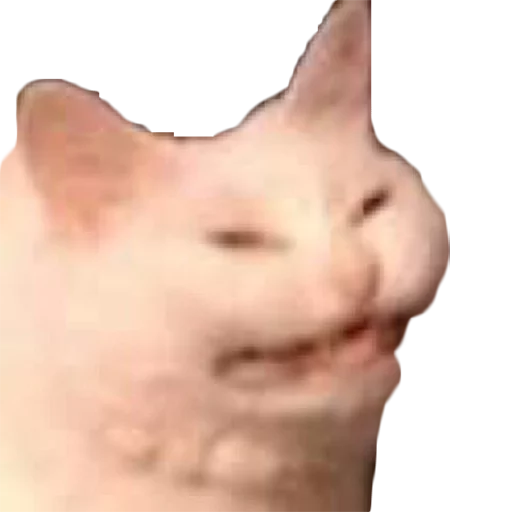 Эмодзи MogoPack