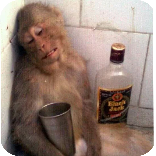 Эмодзи Monkeys