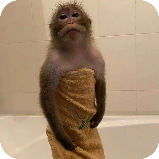 Эмодзи Monkeys