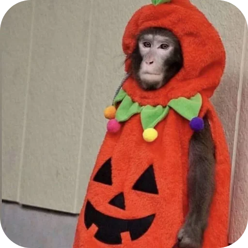 Эмодзи Monkeys
