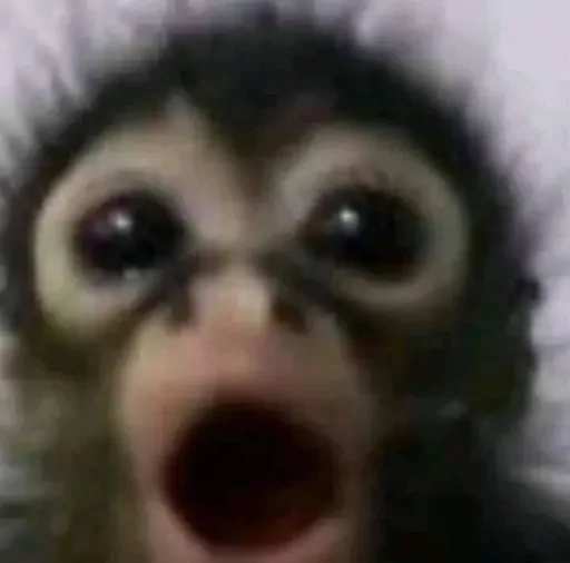Эмодзи Monkey Memes