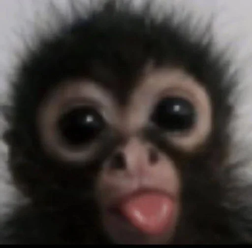 Эмодзи Monkey Memes