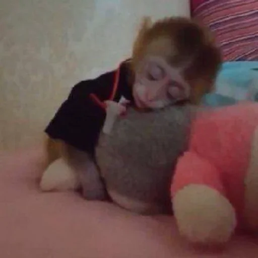 Эмодзи Monkey Memes