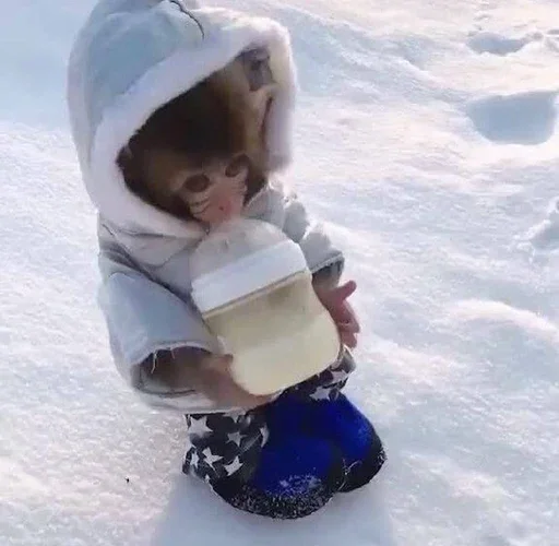 Эмодзи Monkey Memes