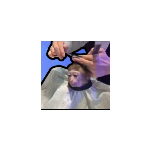 Эмодзи Monkeys