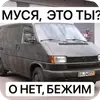 Эмодзи Мошонкэ и не только