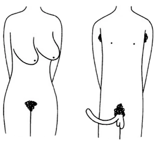 Эмодзи Mrzyk&Moriceau2