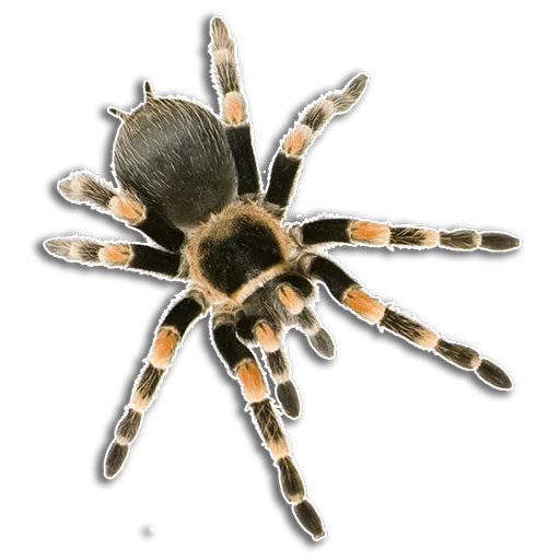 Эмодзи Spiders