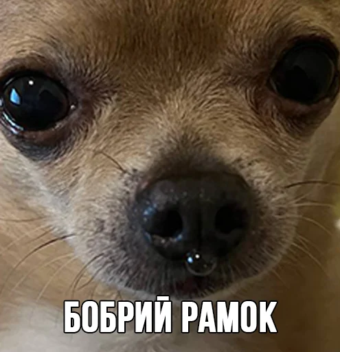 ?