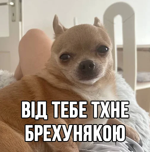 Эмодзи МурМарсік