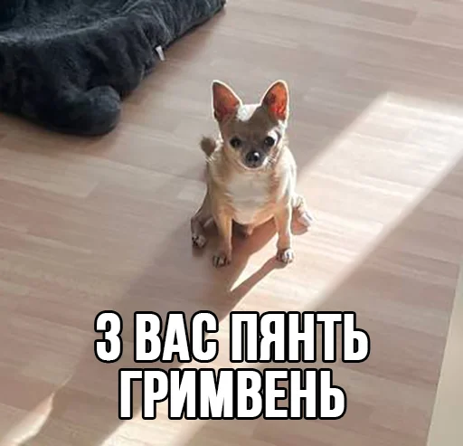 Эмодзи МурМарсік