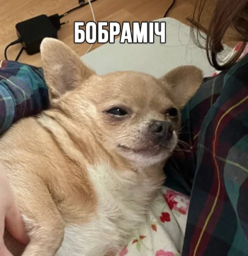 Эмодзи МурМарсік
