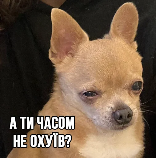 Эмодзи МурМарсік